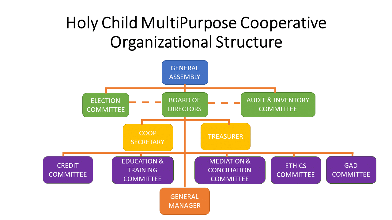 Struktur Organisasi Koperasi Produsen