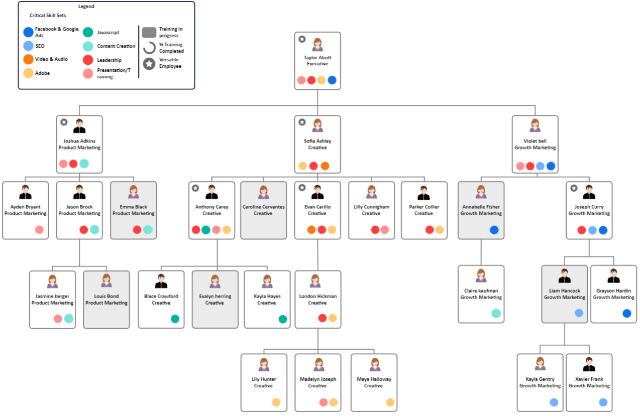 Struktur Organisasi PT untuk Startup