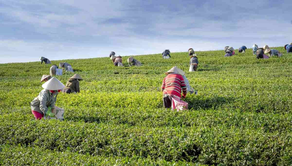 Koperasi Produksi