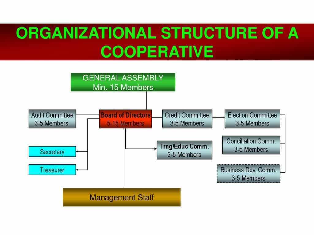 Struktur Organisasi Koperasi di Era Digital