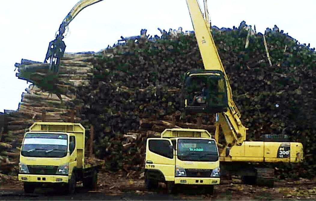 Pendirian PT di Bidang Kehutanan