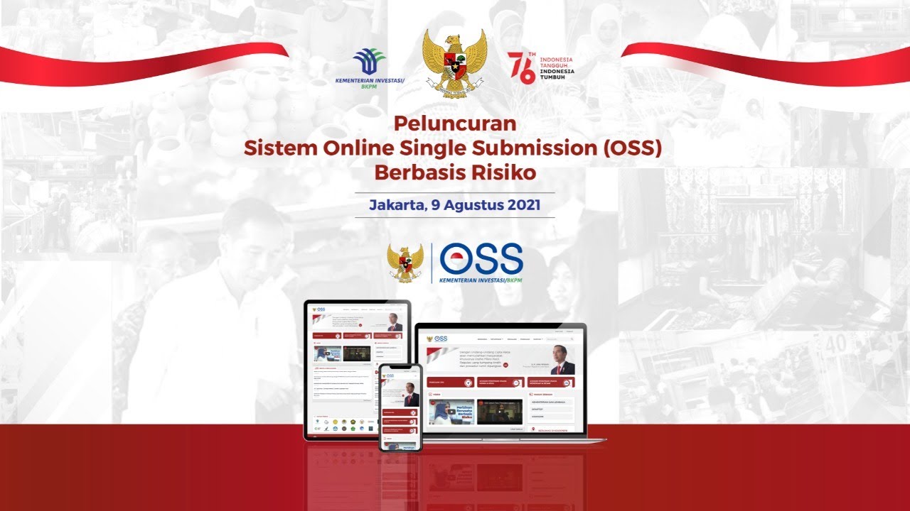 Tahapan Verifikasi Data Pendirian PT Perorangan di OSS