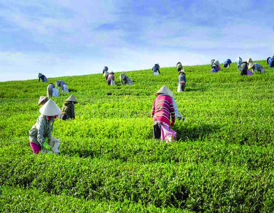 Peran Koperasi dalam Perekonomian Indonesia