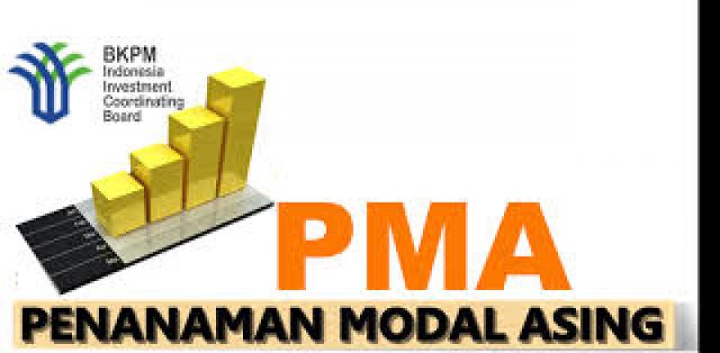 Modal Dasar PT untuk PMA