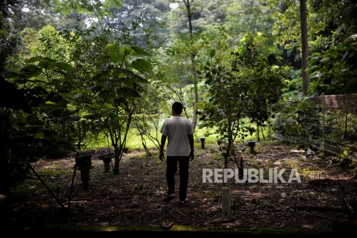 Jasa Pendirian Koperasi Kebon Kosong Jakarta