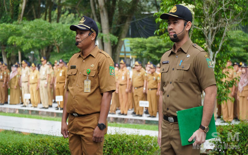 Jasa Pendirian PT Langkat