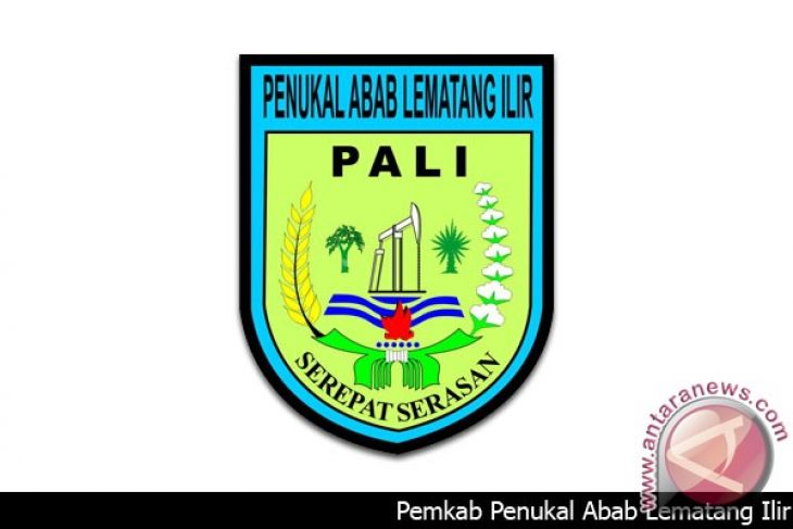 Jasa Pendirian PT PMA Penukal Abab Lematang Ilir