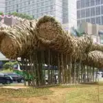 Jasa Pendirian Koperasi Kota Bambu Selatan Jakarta