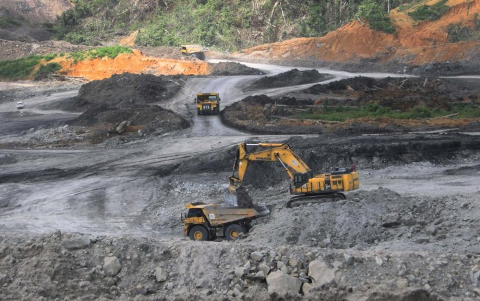 Jasa Pendirian PMA Batu Bara