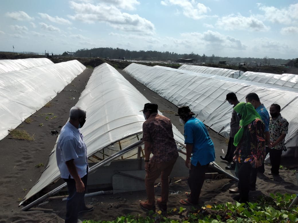 Jasa Pendirian PT Purworejo