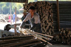 Jasa Pendirian Koperasi Kota Bambu Selatan Jakarta