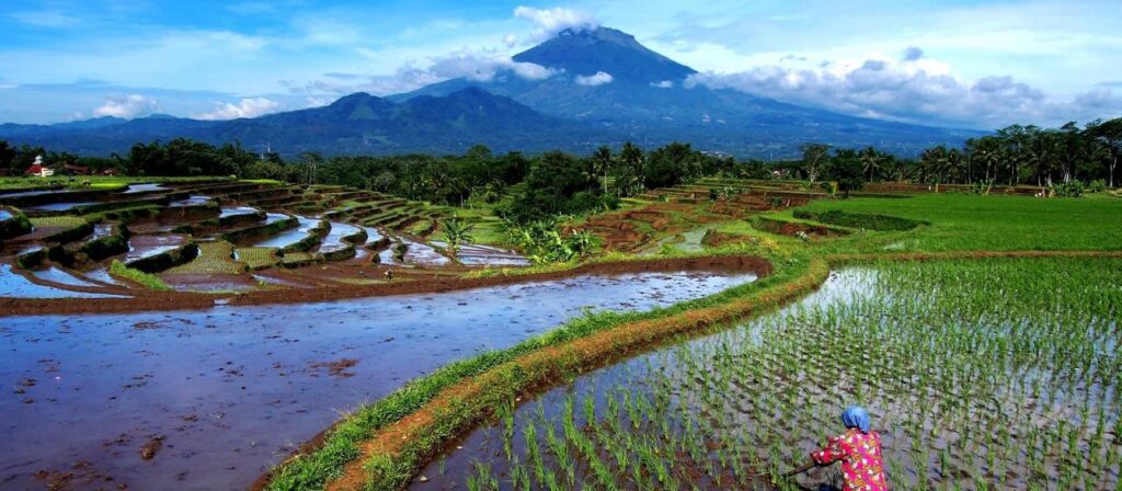 Mandiri outsourcing produksi pabrik tenaga jasa cari magelang penempatan lestari buruh yayasan pelangi pratama ingres presisi smal bpm alamat inti