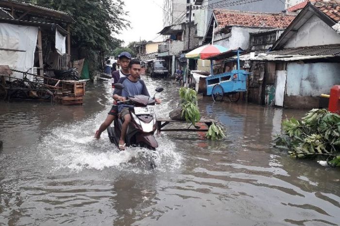 Jasa Pendirian Koperasi Rawa Buaya Jakarta