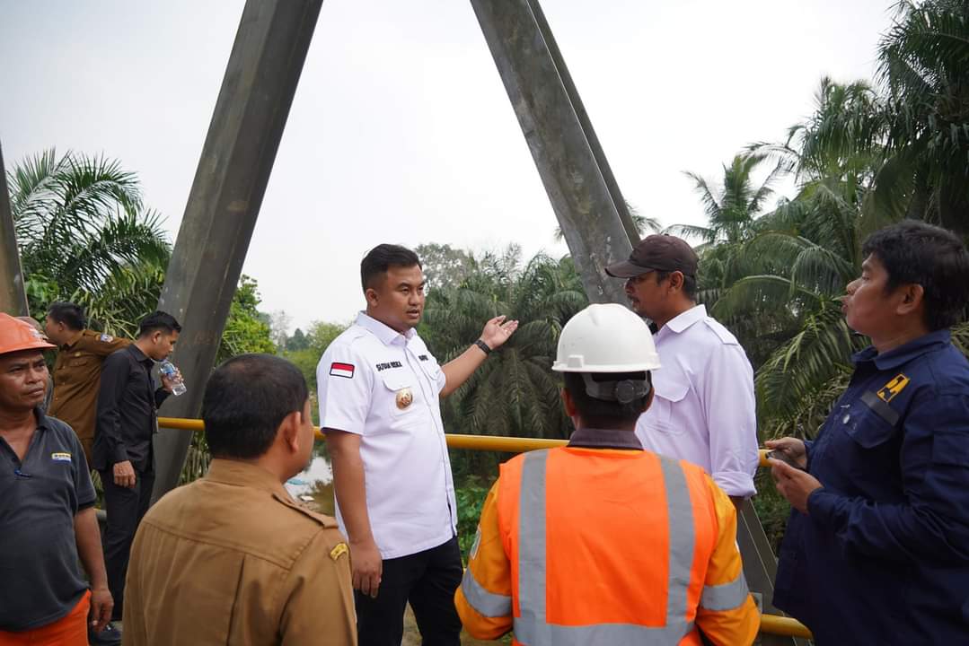 Jasa Pendirian PT Perorangan Dharmasraya