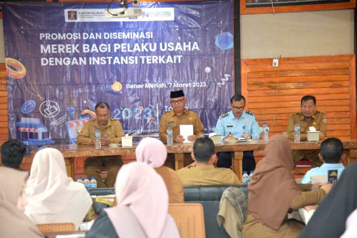 Jasa Pendirian PMA Bener Meriah