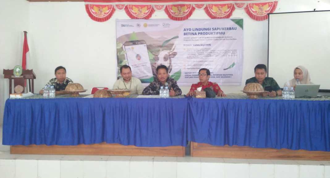 Jasa Pendirian PT Sinjai