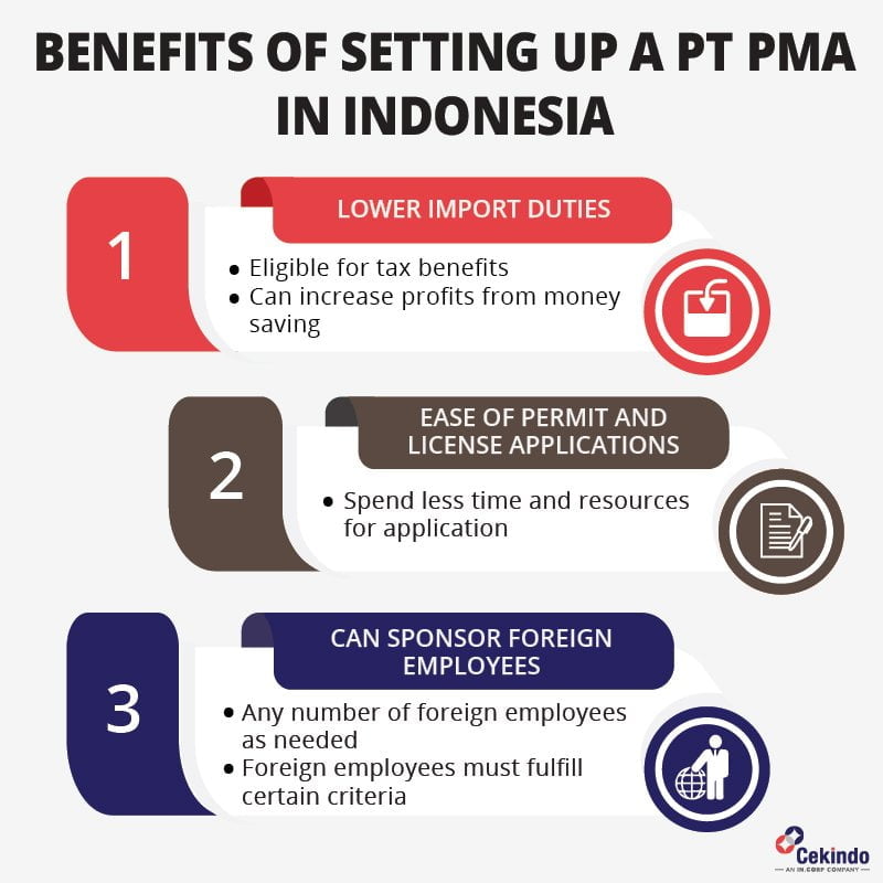 Indonesia pt company setup pma foreign services valuation india