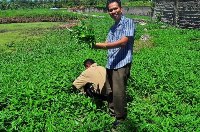 Jasa Pembuatan Koperasi Kebon Kangkung Bandung