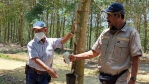 Jasa Pendirian PMA Karet Kuningan Jakarta