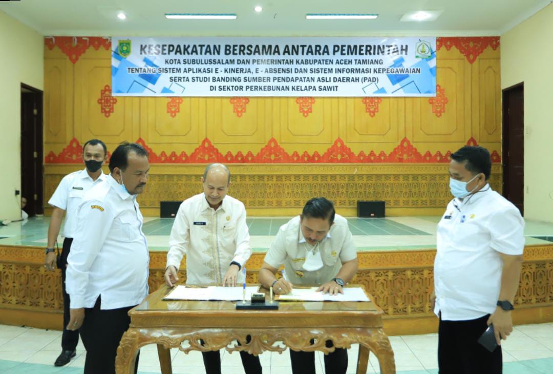 Jasa Pendirian PT PMA Aceh Tamiang