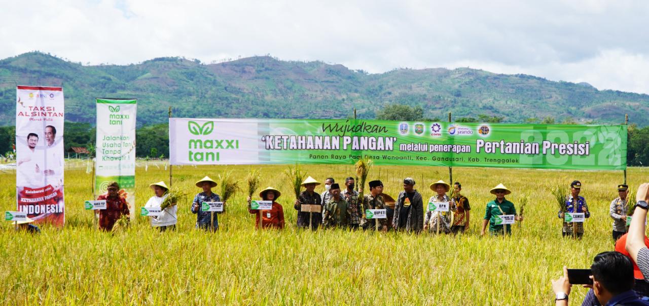 Jasa Pendirian PT Trenggalek