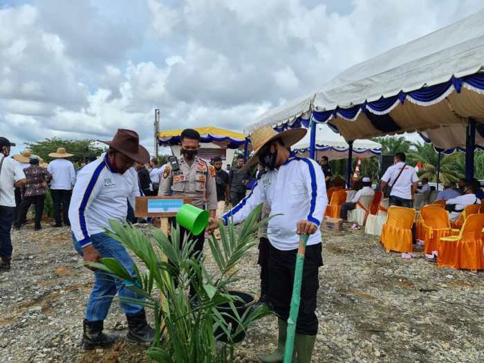 Jasa Pendirian PMA Nagan Raya