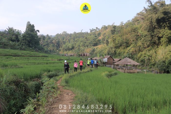 Jasa Pendirian PT Kota Bambu Selatan Jakarta