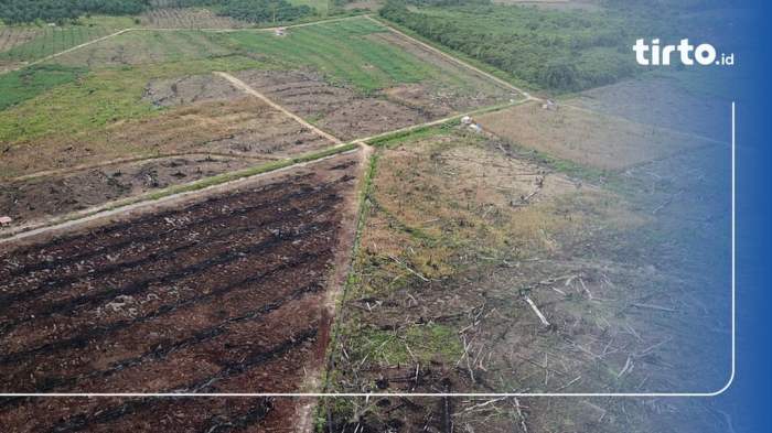 Jasa Pendirian PMA Aceh Singkil