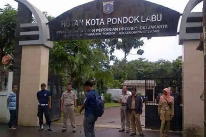 Jasa Pendirian PT Pondok Labu Jakarta