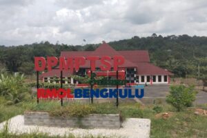 Jasa Pendirian PT Seluma