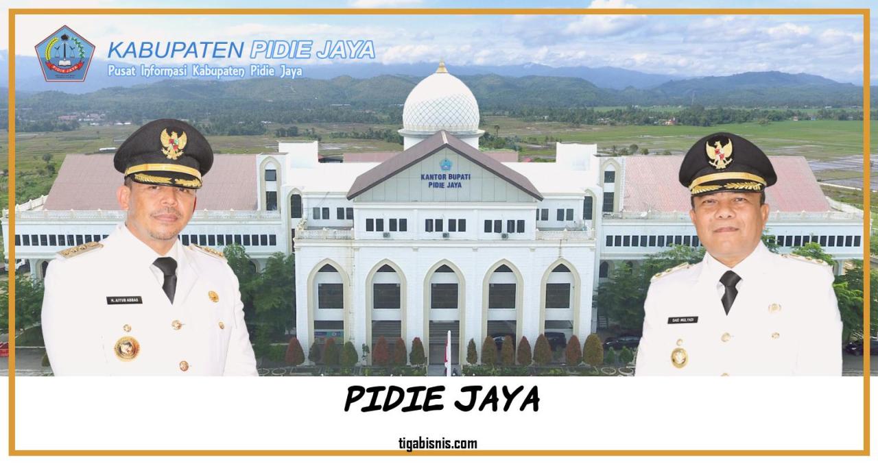 Jasa Pendirian PT Perorangan Pidie Jaya