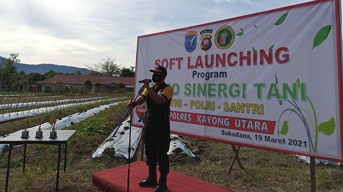 Jasa Pendirian PT Kayong Utara