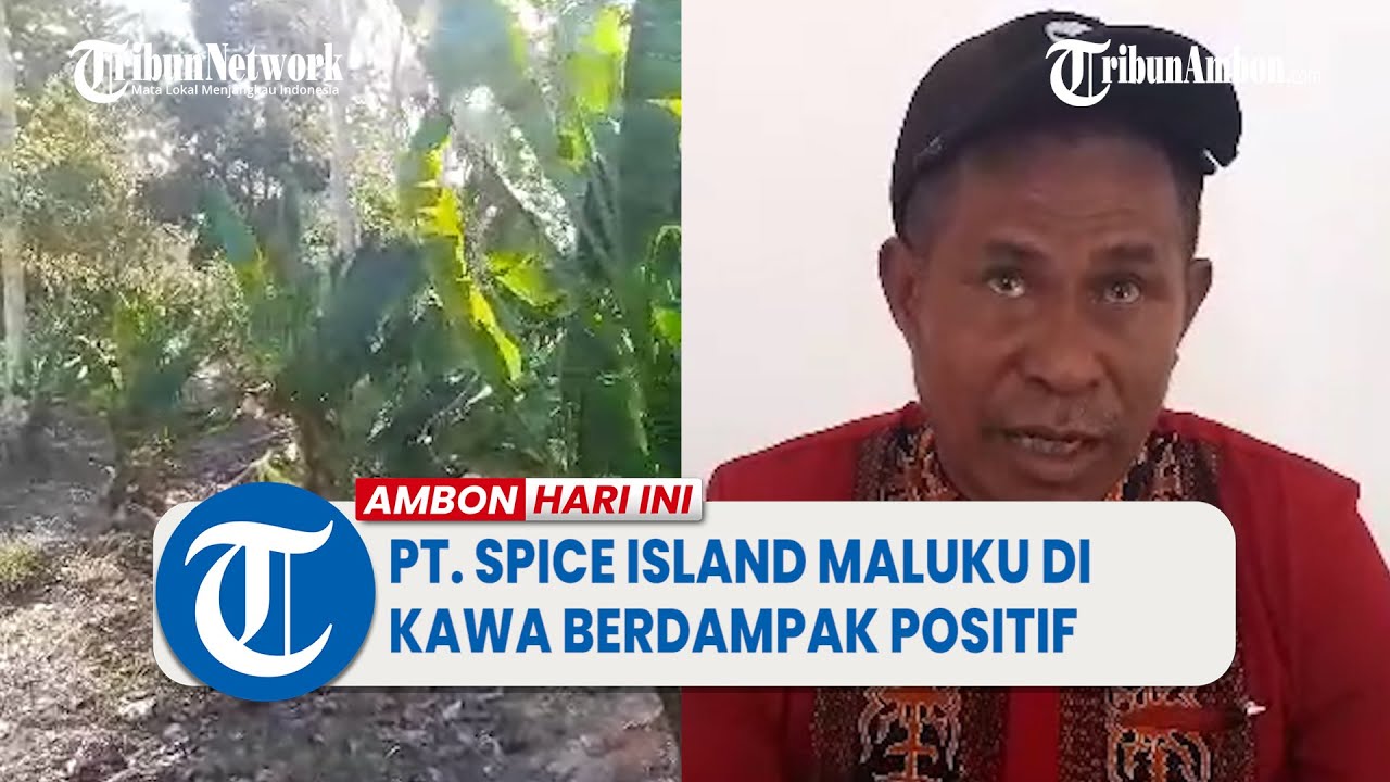 Jasa Pendirian PT Perorangan Maluku Barat Daya