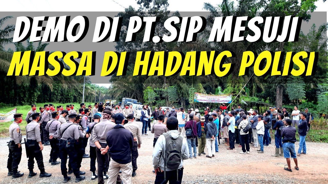 Jasa Pendirian PT Perorangan Mesuji