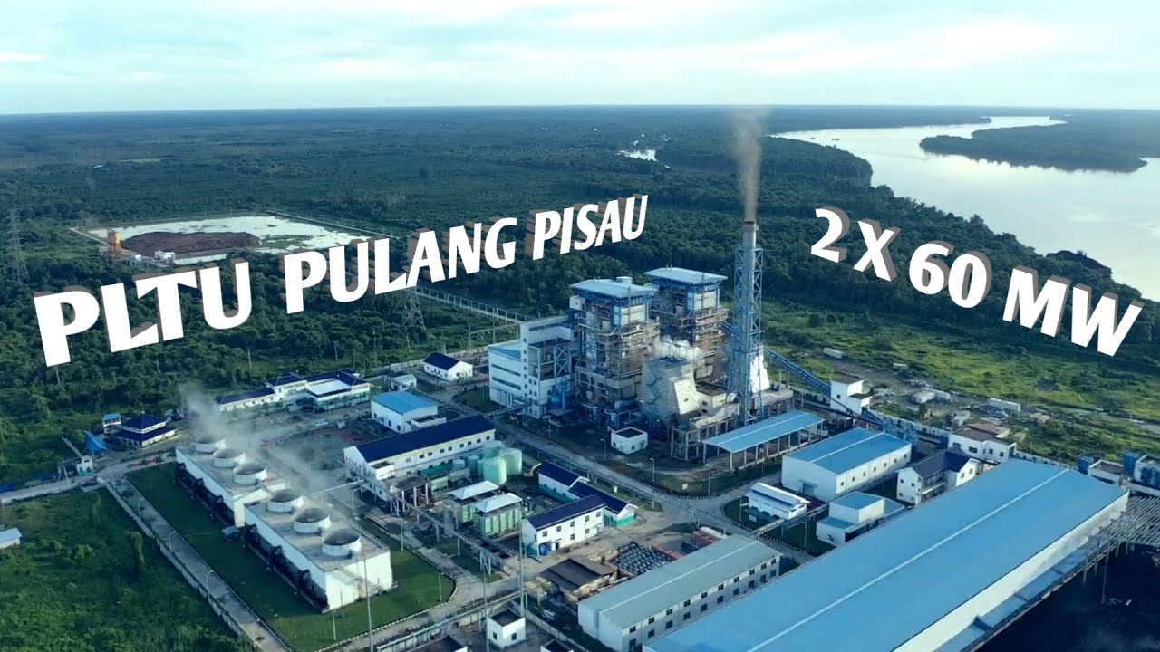 Jasa Pendirian PT Pulang Pisau