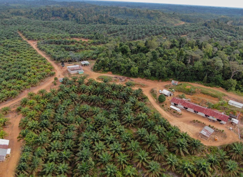 Jasa Pendirian PT Musi Rawas Utara