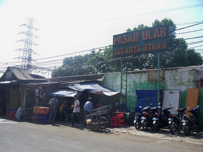 Jasa Pendirian PT Semper Timur Jakarta