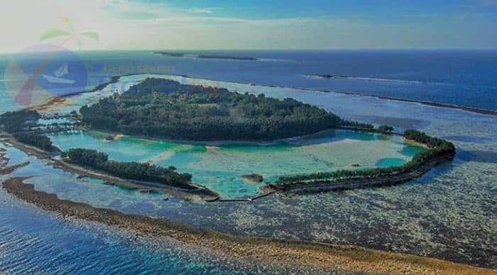 Jasa Pendirian PT Pulau Payung Jakarta